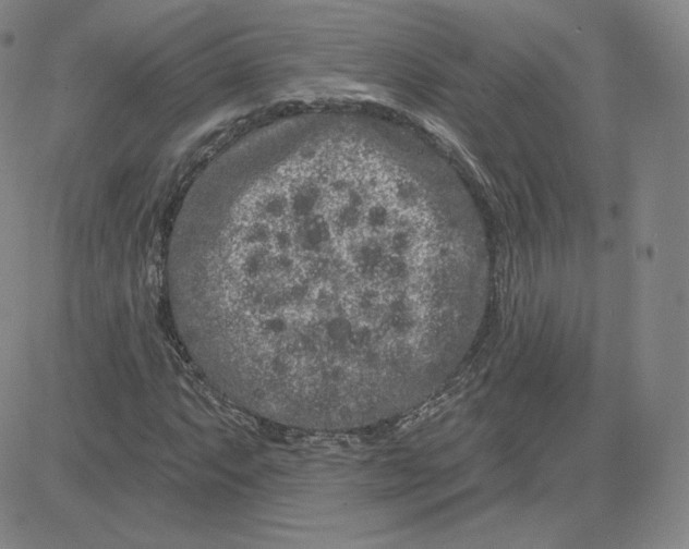 X0000080771063200701021115