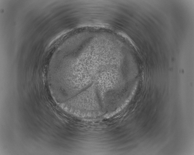 X0000080771064200701021115