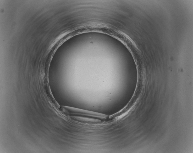 X0000080771065200701021115