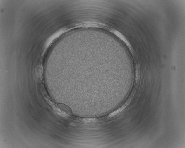 X0000080771067200701021115