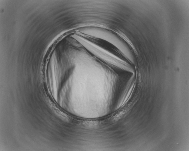 X0000080771068200701021115