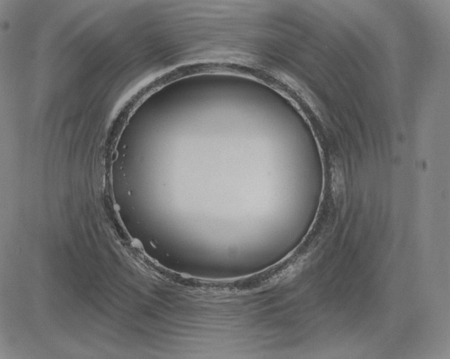 X0000080771069200701021115