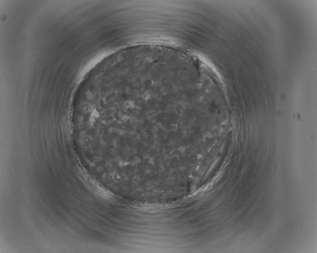 X0000080771071200701021115