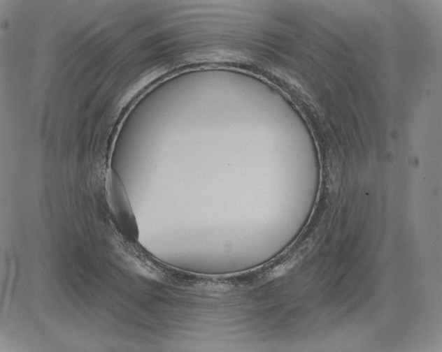 X0000080771073200701021115