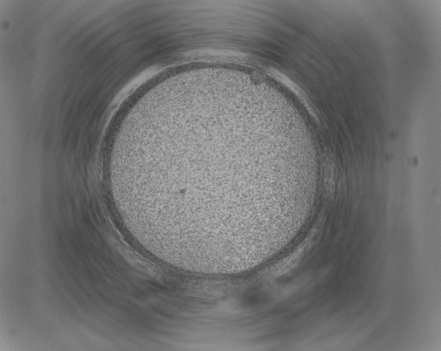 X0000080771074200701021115