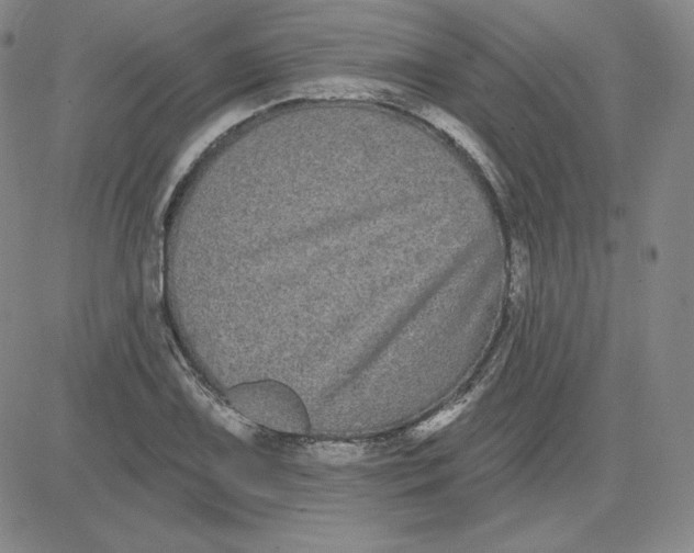 X0000080771075200701021115