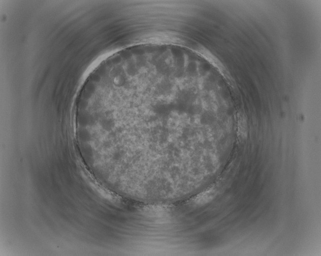 X0000080771078200701021115