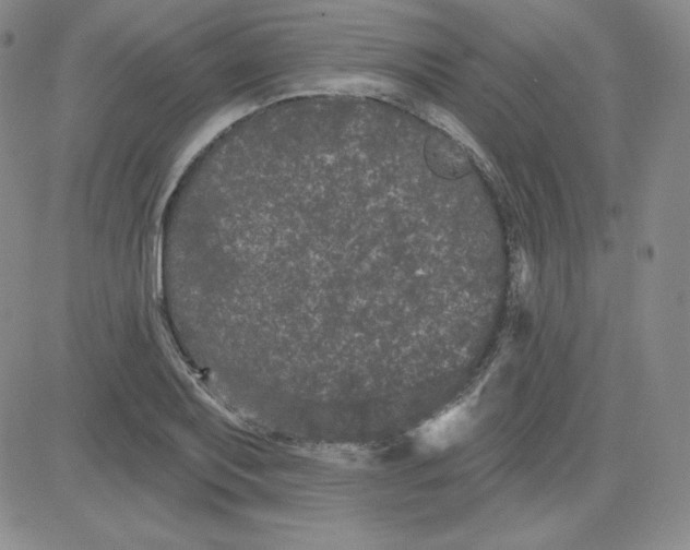 X0000080771079200701021115