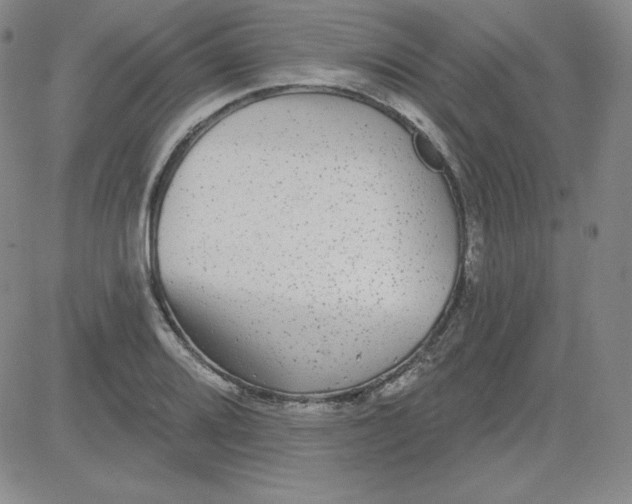 X0000080771080200701021115