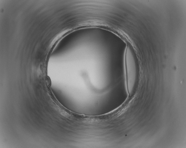 X0000080771081200701021115