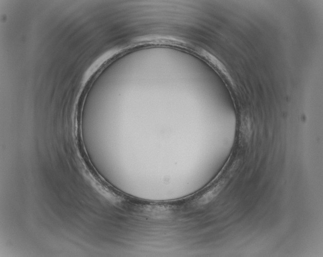 X0000080771082200701021115