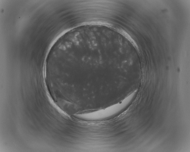 X0000080771084200701021115