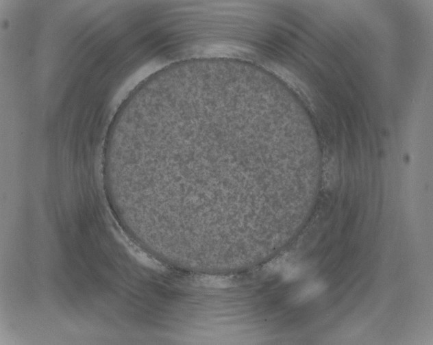 X0000080771086200701021115