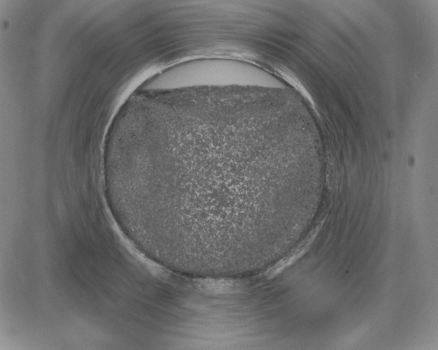 X0000080771087200701021115