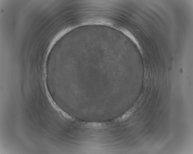 X0000080771088200701021115