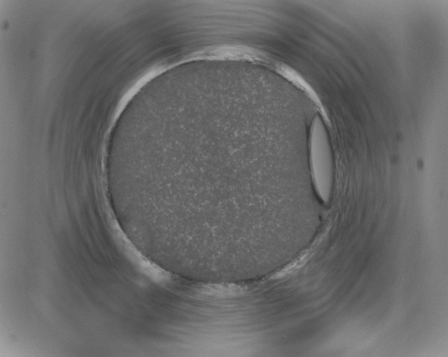 X0000080771091200701021115