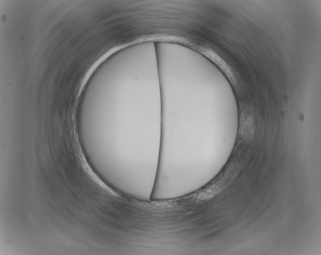 X0000080771092200701021115