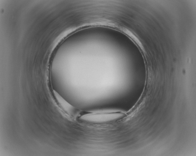 X0000080771093200701021115