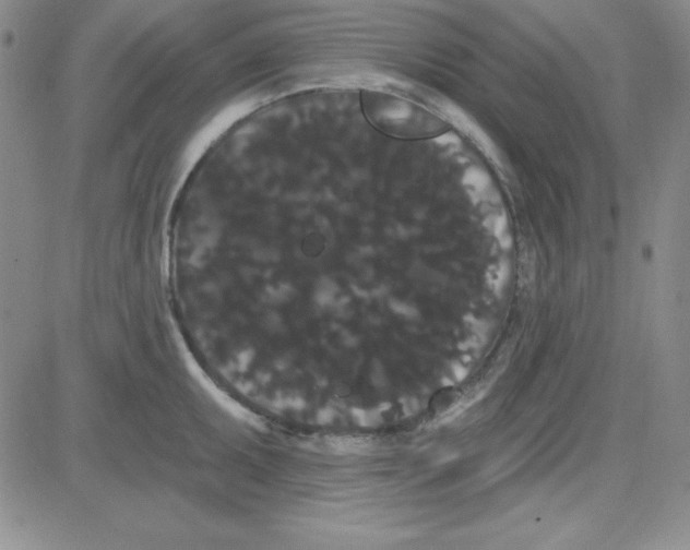 X0000080771095200701021115