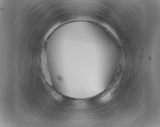 X0000080771097200701021115