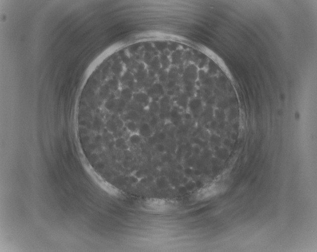 X0000080771098200701021115