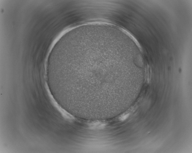 X0000080771099200701021115