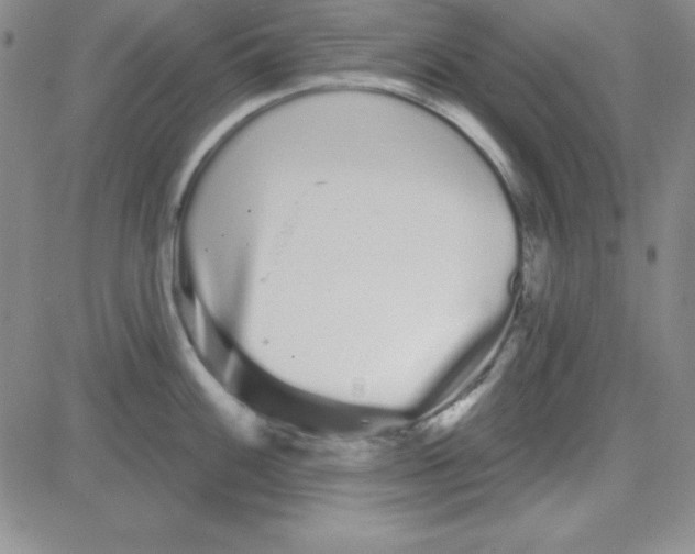 X0000080771100200701021115