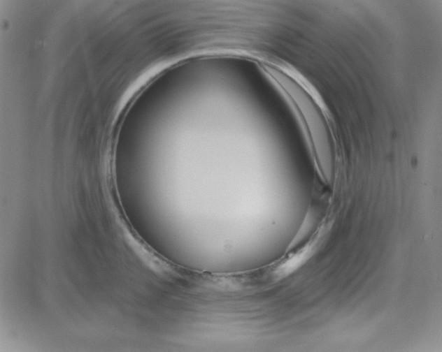 X0000080771101200701021115