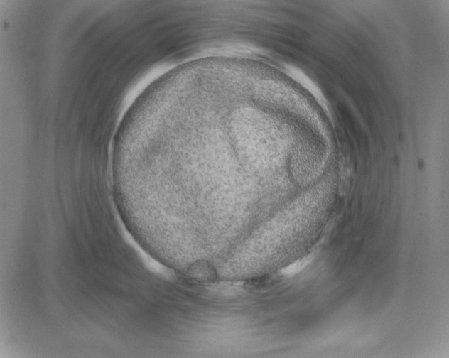 X0000080771103200701021115