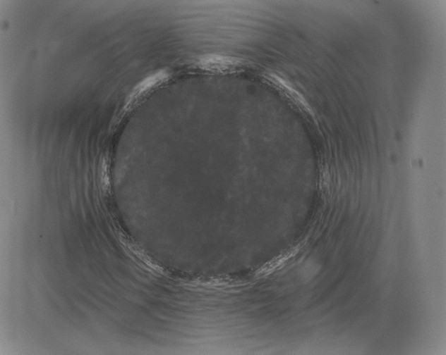 X0000080771106200701021114