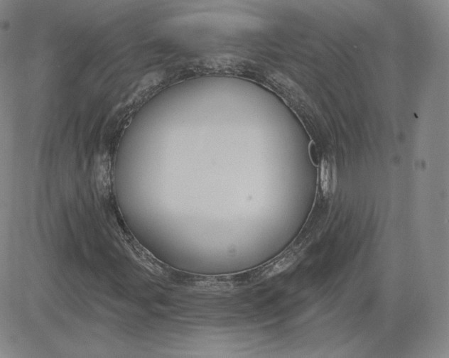 X0000080771107200701021114