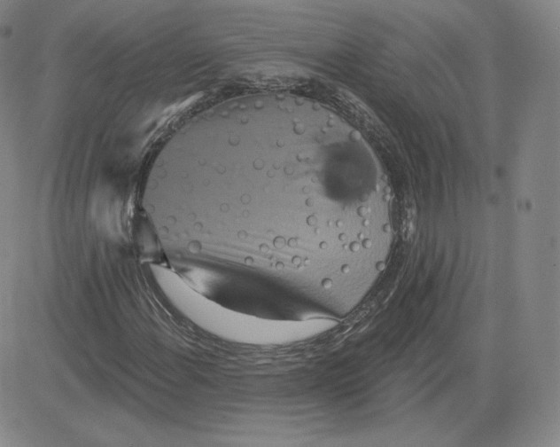 X0000080771108200701021114