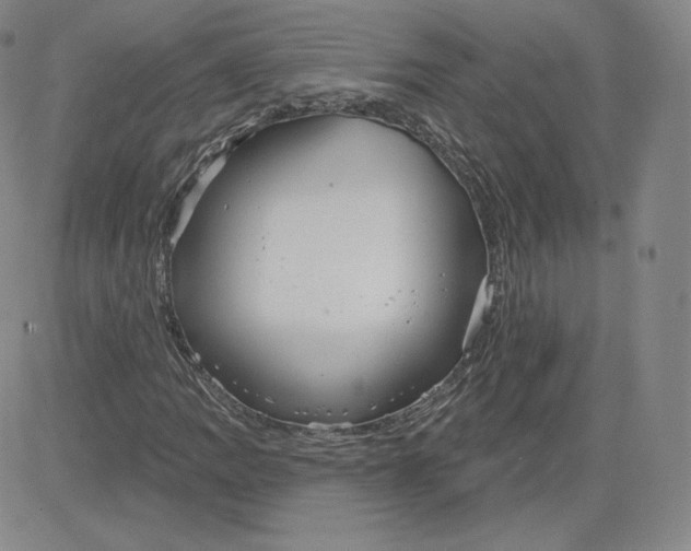 X0000080771109200701021114