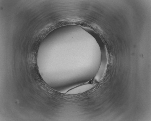 X0000080771110200701021114