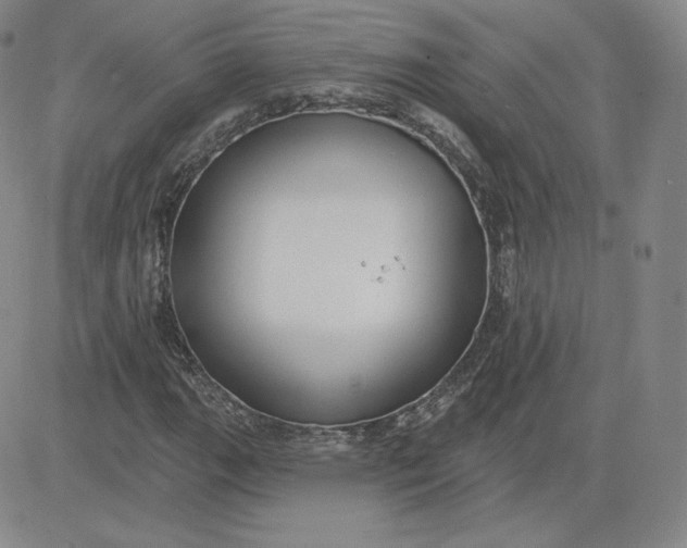 X0000080771111200701021114