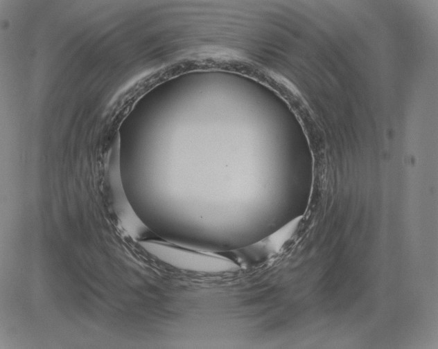 X0000080771112200701021114