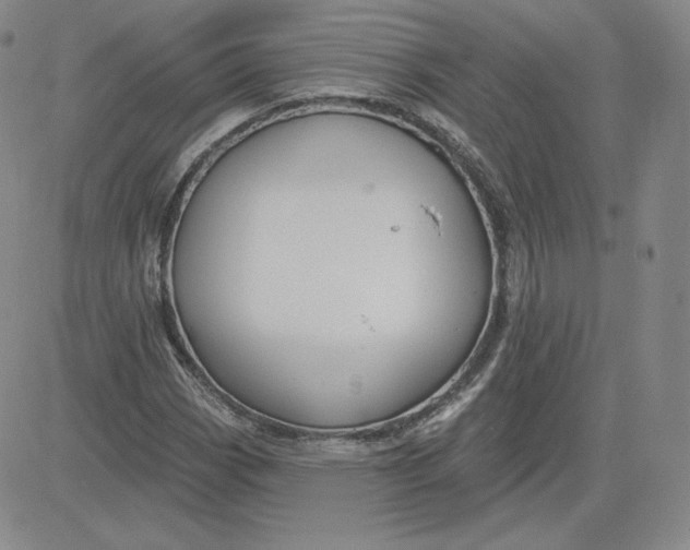 X0000080771113200701021114