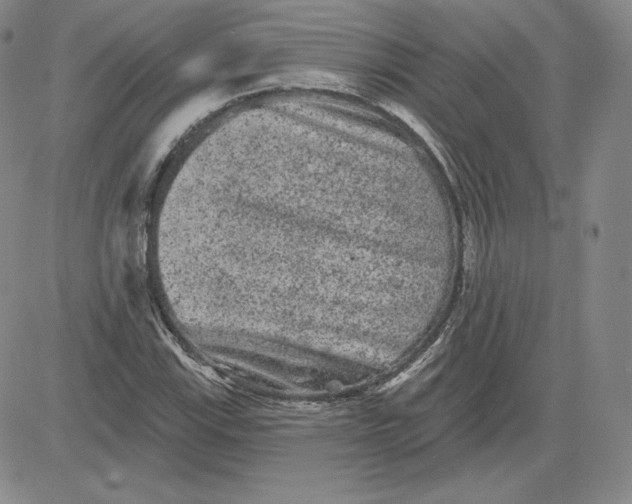 X0000080771115200701021114