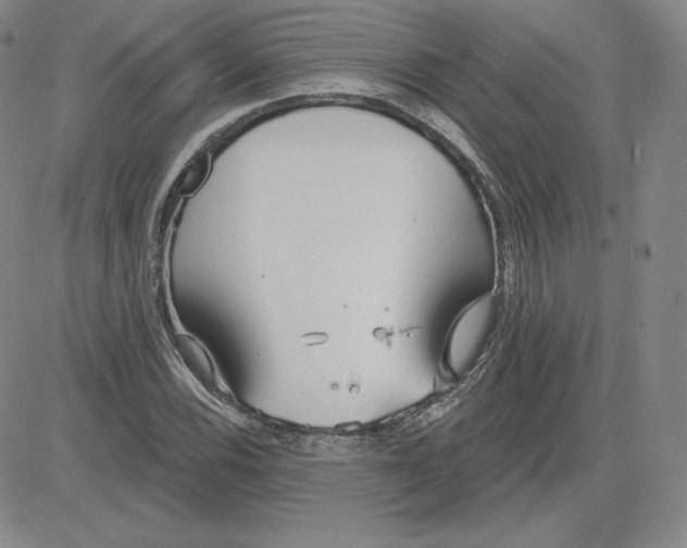 X0000080771116200701021114