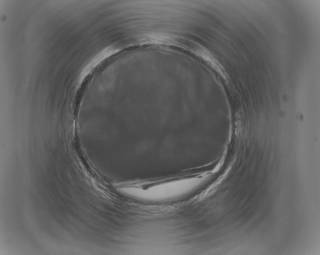 X0000080771117200701021114