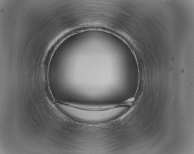 X0000080771118200701021114