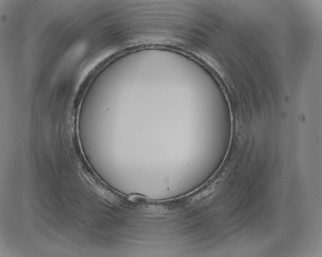 X0000080771119200701021114