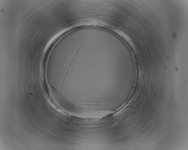 X0000080771120200701021114