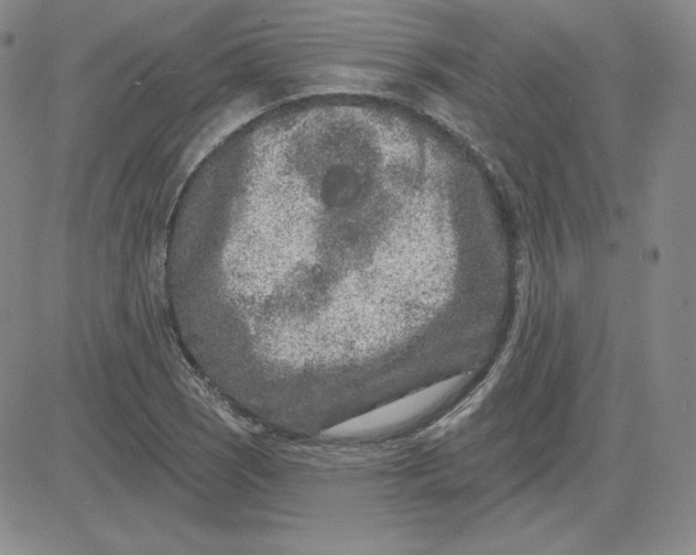 X0000080771121200701021114