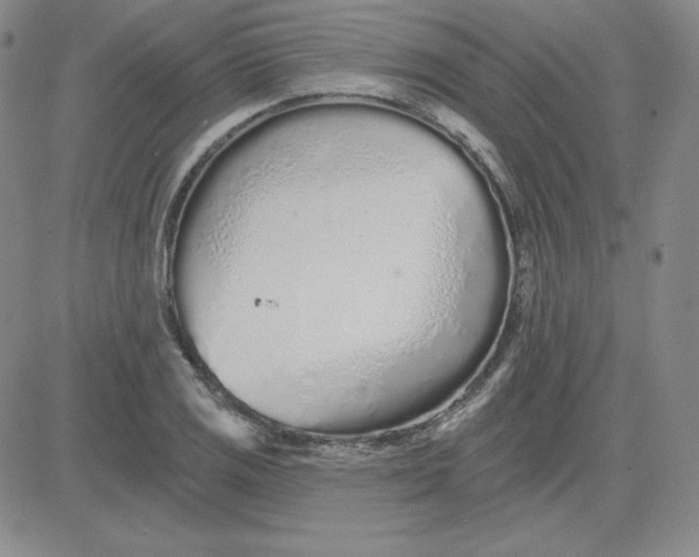 X0000080771125200701021114