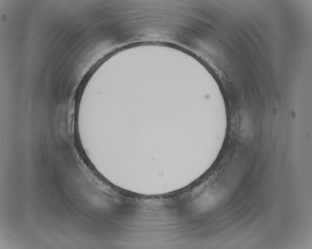 X0000080771126200701021114