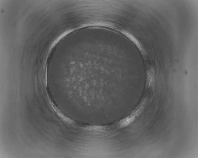 X0000080771127200701021114