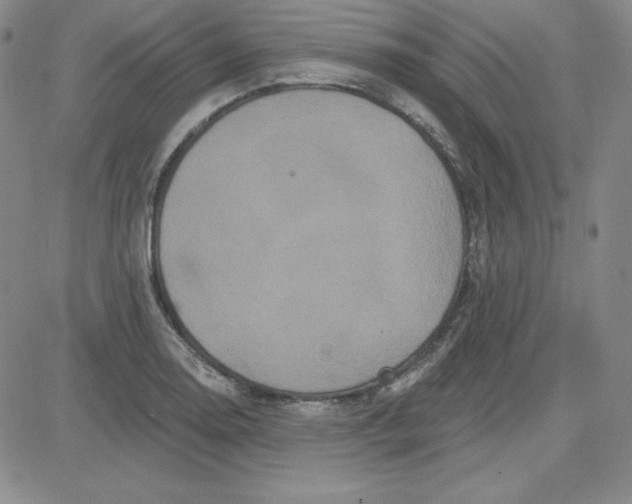 X0000080771130200701021114