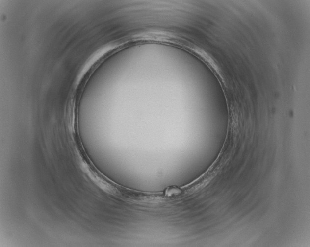 X0000080771131200701021114