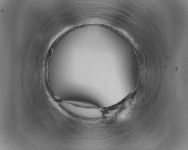 X0000080771134200701021114